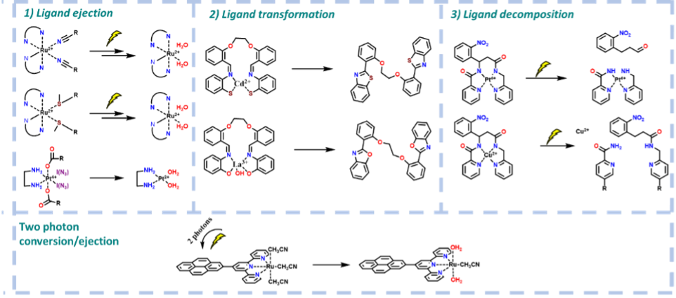  ◳ drugPicture 1a (png) → (originál)