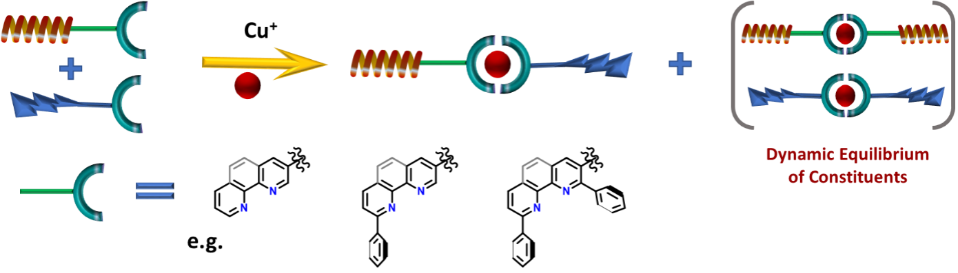  ◳ proteinPicture4 (png) → (originál)