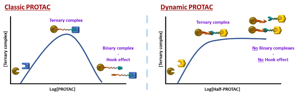  ◳ proteinPicture2 (png) → (originál)