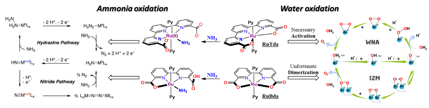  ◳ orgRu_Picture 1 (png) → (originál)