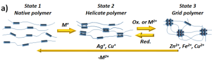  ◳ Picture 2 (png) → (originál)