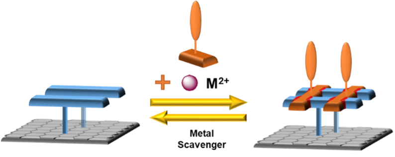  ◳ surfacePicture 4 (png) → (originál)