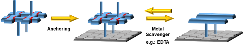  ◳ surfacePicture 2 (png) → (originál)