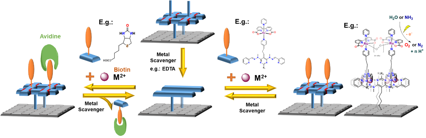  ◳ surfacePicture 1 (png) → (originál)