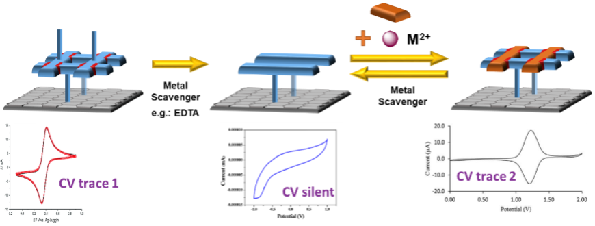  ◳ surfacePicture 3 (png) → (originál)