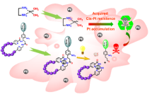  ◳ drugPicture 4 (png) → (šířka 215px)