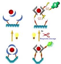  ◳ drugPicture 1 (png) → (šířka 215px)