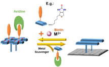  ◳ surface_Picture 6 (png) → (šířka 215px)