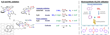  ◳ Fig3_JH (png) → (šířka 450px)