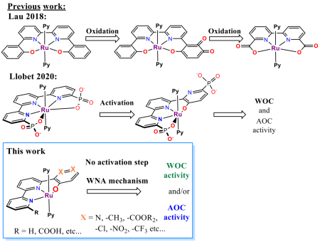  ◳ OrgRu_Picture 1_new (png) → (šířka 450px)